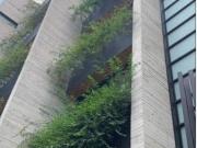 DEPARTAMENTOS A ESTRENAR EN TECAMACHALCO