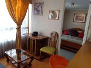 Departamentos Amoblados SANTIAGO CENTRO arriendos por dias