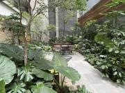 DEPARTAMENTOS EN ROMA NORTE DE UNA Y DOS RECAMARAS