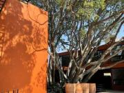 Departamentos en venta Ajijic