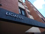 DEPARTAMENTOS EN VENTA DE UN DORMITORIO