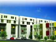 Departamentos Sector Quitumbe Proyecto Bosques de Amaru