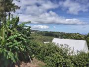 Département La Réunion 974, à vendre LA MONTAGNE Maison...