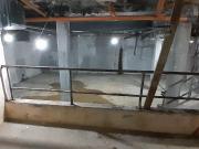 Depósito en venta PB y sótano A RECICLAR más de 300 mts...