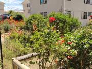 DEPTO A TRES CUADRAS DEL TRONCAL 3D 1 B DISPONIBLE