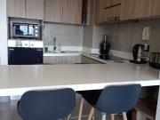 depto amoblado, norte, tipo mariposa, 2D, 2b, terraza,...