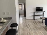 DEPTO. CON ROOF GARDEN