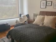 DEPTO EN RENTA $10,000 US. EN GIRAULT. SAN MATEO...