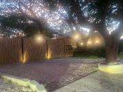 Depto en renta en el campestre