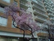 Depto en Venta en Providencia 1Dorm 1Baño 1Estac y...