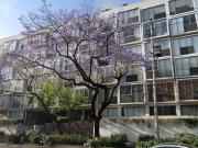 DEPTO EN VENTA. José María Rico 509, Col del Valle Sur,...