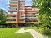 Depto Moller de 3 d 3 b, gran terraza