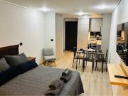 Depto tipo estudio amoblado con estacionamiento