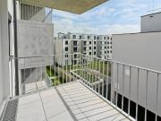 DER BALLON ANKOMMEN UND ABHEBEN NATURNAHES WOHNEN NAHE...