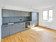 DER BALLON ANKOMMEN UND ABHEBEN NATURNAHES WOHNEN NAHE...