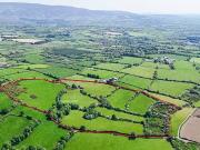 Derelict cottage on c. 28 acres at Coolyhune, Coolyhune,...
