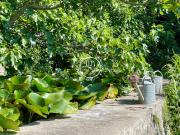 Des vues et un jardin extraordinaire en plein centre...