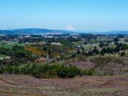 Campo en Temuco Subdividido en 135 lotes de 5000m² a 10...