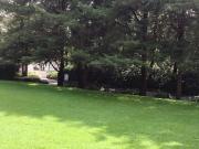 DESARROLLO TENIS, Frente a Rancho San Francisco, Terreno...