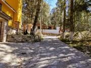 Desconéctate del Ruido. Reconéctate con lo Esencial...