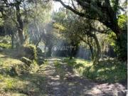 Descubra este local incrível, com 13 hectares, na...