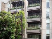 ¡Descubre est exclusivo Garden de tus sueños en el...