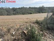 Descubre tu Paraíso en Lagos del Serrano parcela de...