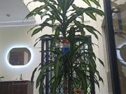 Descubre tu Refugio en la Amazonia