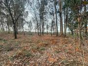 Desenvolvimento de terras em Braga