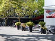 Designer Appartment + Cleaning Service @Charlottenburg...