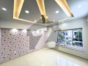 Designer House Decent Style Double Unit Solid...
