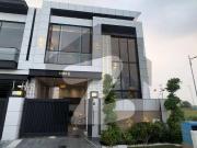 DESIGNER HOUSE Double Unit House Multi Gardens MPCHS B...