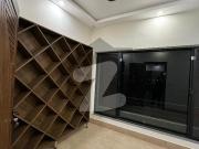 Designer House For Sale In Bahria Town RWP Phase 8...