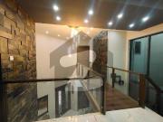 Designer Owner Built Top Heighted Full Back View...
