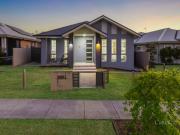 Designer Style & Everyday Comfort