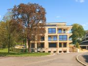 Designwohnung am Michelsberg – Terrasse und großem Garten