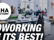 Desks in a light flooded coworking space Kreuzberg