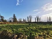 Detached House for sale Irishtown Claremorris County Mayo