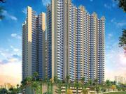 Birla Trimaya Phase 3,Devanahalli 3 BHK Apartment For...