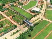 Devanahalli Residential Plot For Sale Bangalore