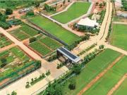 Devanahalli Residential Plot For Sale Bangalore