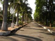Developed Land in Bangalore, Karnataka, Ref# 2438072