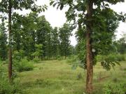 Developed Land in Coimbatore, Tamil Nadu, Ref# 887539