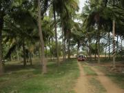 Developed Land in Coimbatore, Tamil Nadu, Ref# 933432
