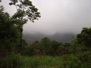 Developed Land in Idukki, Kerala, Ref# 998799
