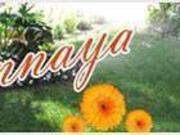 Developed Land in Nagpur, Maharashtra, Ref# 251354