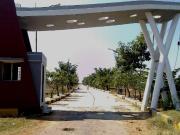 Developed Land in Nellore, Andhra Pradesh, Ref# 2604812