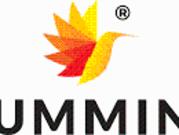 Developed Land in Raipur, Chhattisgarh, Ref# 202072991