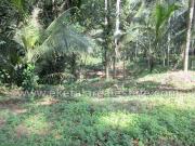 Developed Land in Thiruvananthapuram, Kerala, Ref# 1173518