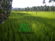Development Land for Sale Mauban, Quezon